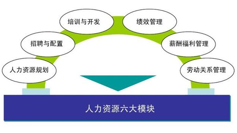 背景调查服务与征信报告区别