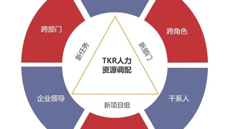 IT外包服务方案报价：揭秘背后的决策逻辑